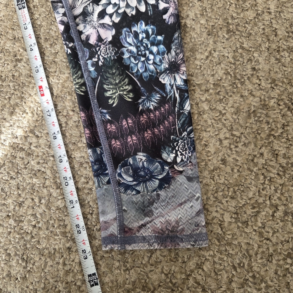 Evolution And Creation Cactus Succulent Sugar Sku… - image 9